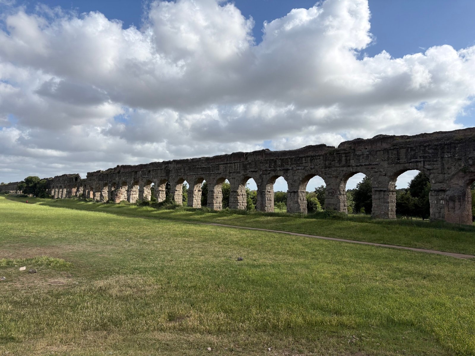 Ancient Roman aqueduct arches crossing a grassy park beneath a cloudy blue sky.