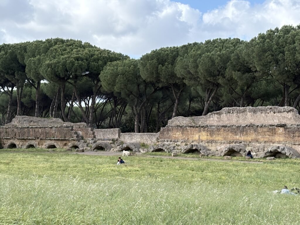 Ancient Roman aqueduct remains crossing a grassy park lined with umbrella pines.