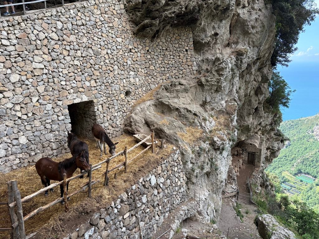Horses beside stone walls built into a rocky cliff along the Path of the Gods.