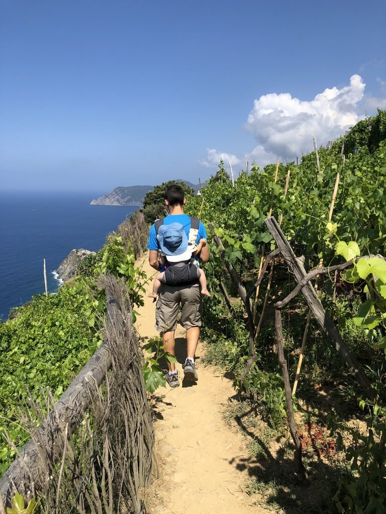 Adult carrying a child along a coastal hiking trail through terraced hills.