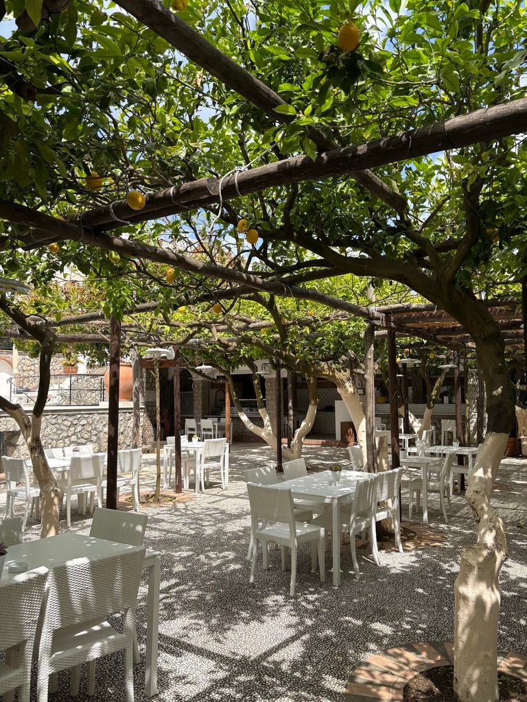Terrace at Hotel Syrene in Capri Town