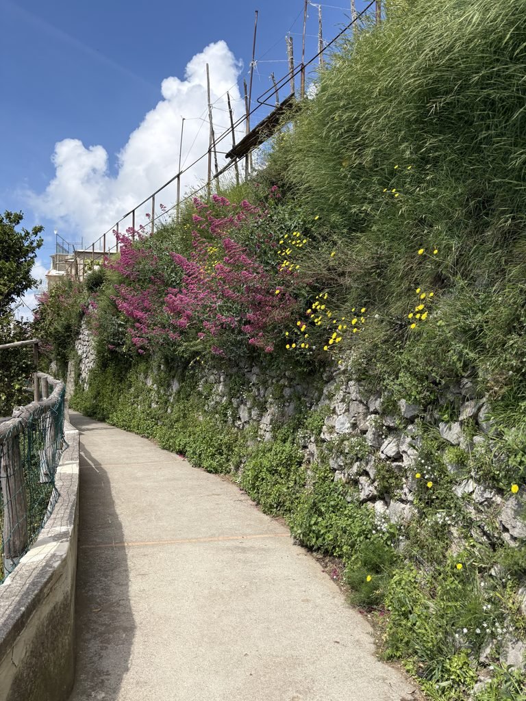Paved pedestrian path lined with flowers and stone walls in Nocelle above Positano.