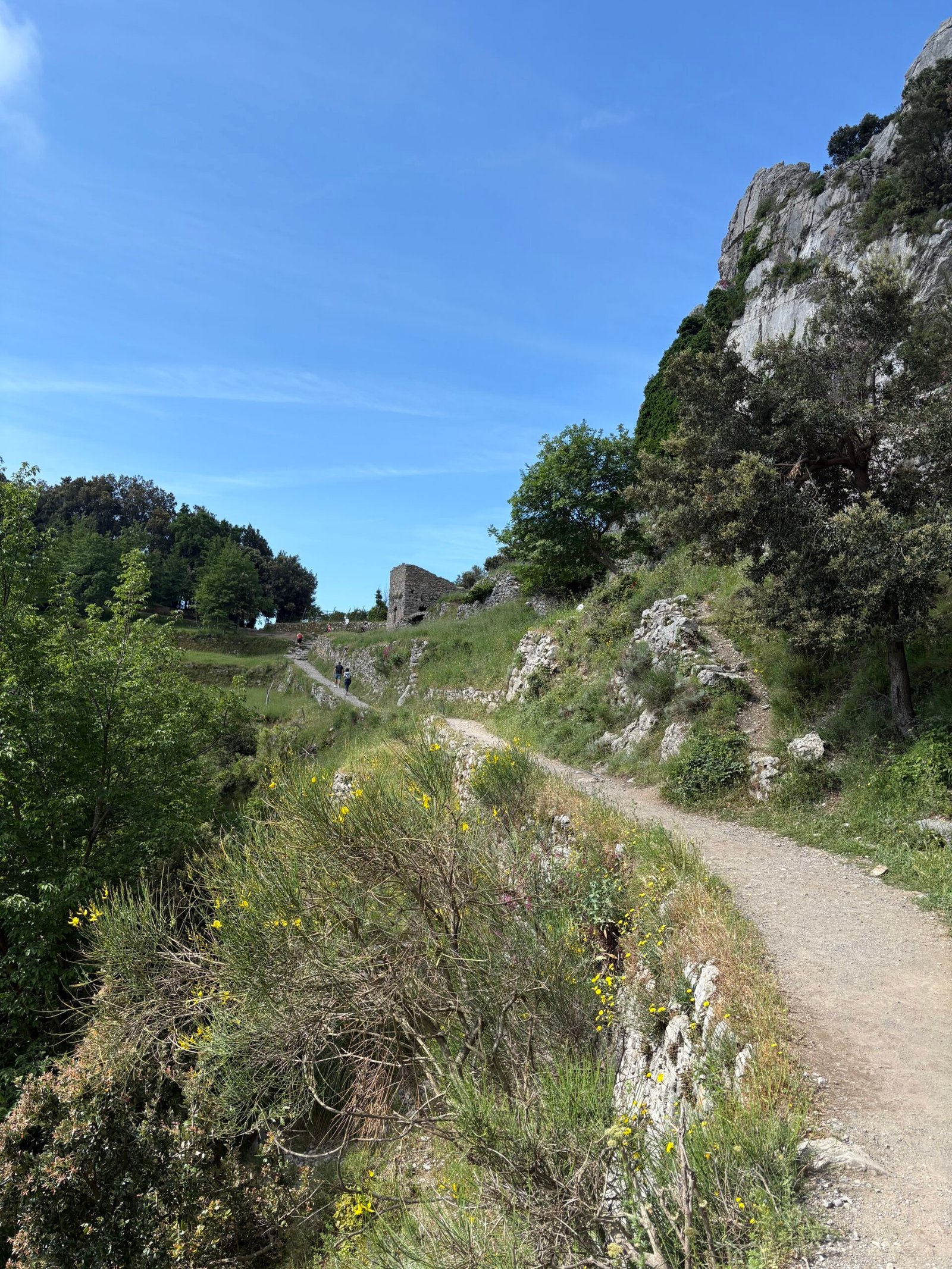 Mountain hiking path winding through green vegetation beneath a rocky cliff.