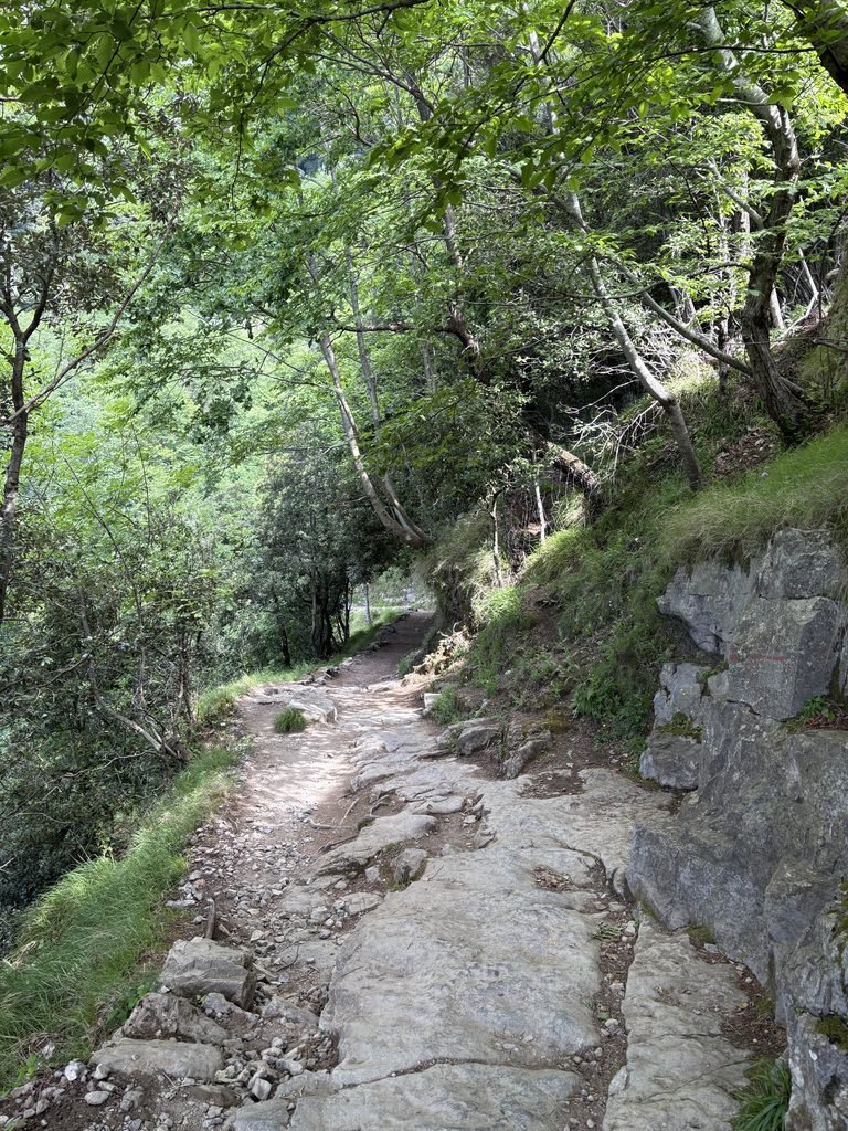 Rocky uneven section of the Path of the Gods passing through shaded woodland.